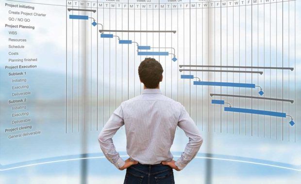 digital marketer look at graph showing seo management skills