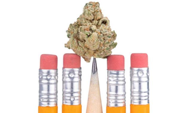 Marijuana on top of pencil depicting a dispensary content marketing strategy