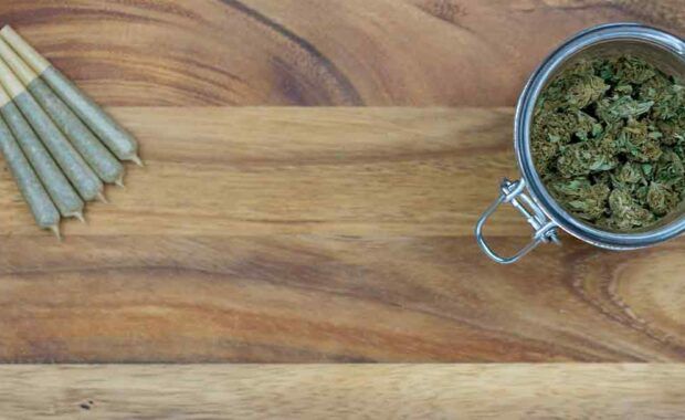 cannabis dispensary working on their seo strategy