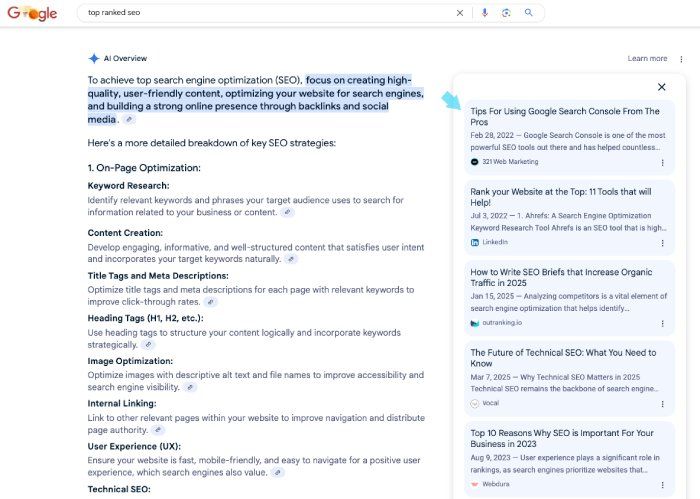 Google AI Overview Results
