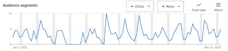 Data Showing Google Ads Audience Segments For Milstein Siegel